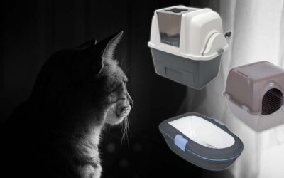 Les trois meilleurs bacs à litière autonettoyants manuels pour chat en 2022