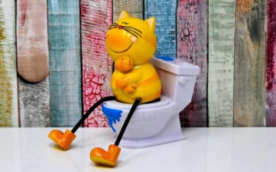 Les trois meilleures maisons de toilettes haut de gamme pour chat en 2022