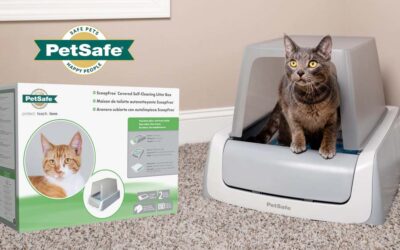 Les trois meilleurs bacs à litière autonettoyants milieu de gamme pour chat en 2022