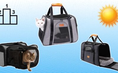 Les trois meilleurs sacs de transport pour chat en 2022