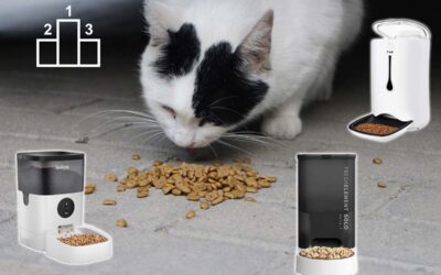 Les trois meilleurs distributeurs de croquettes pour chat en 2023