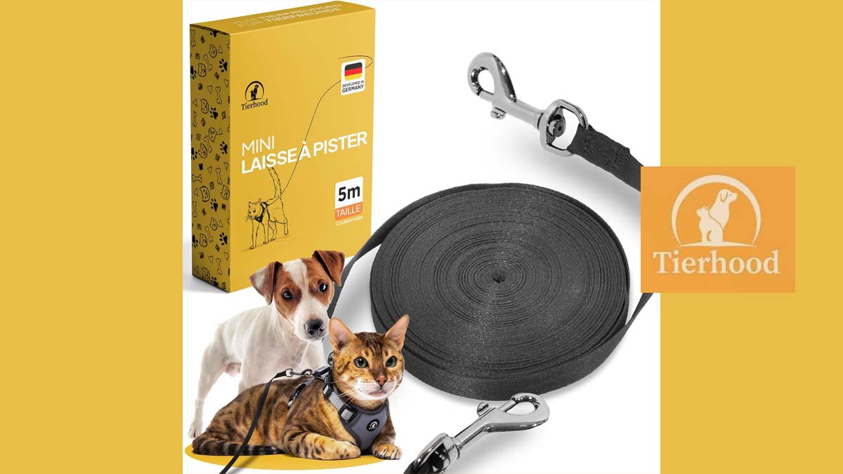 Laisse noire de 5 mètres pour chat et chien