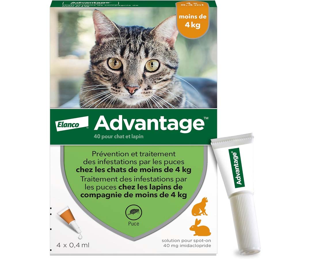Boîte de produits antipuces Advantage pour chat