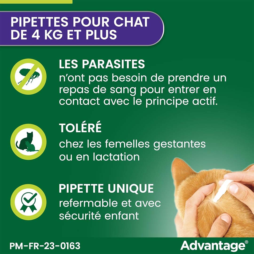 Avantages des pipettes anti-puces pour chats