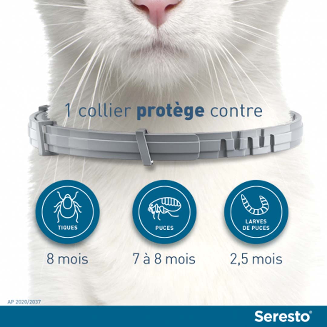 Les durées de protection du collier antiparasitaire Seresto pour chat