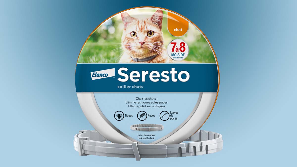 Image de présentation du collier antiparasitaire Seresto pour chat