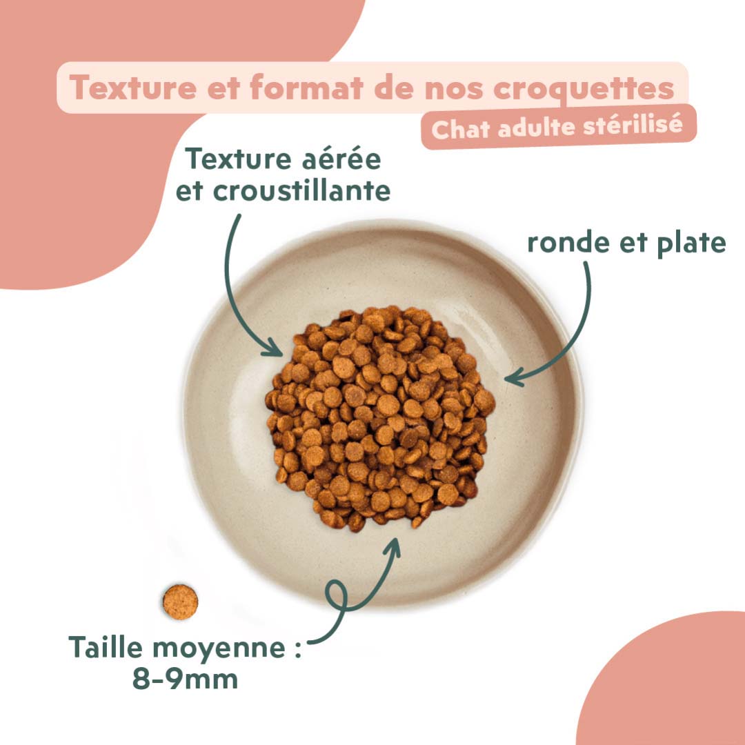 Texture et format des croquettes Ziggy au poulet pour chat adulte stérilisé