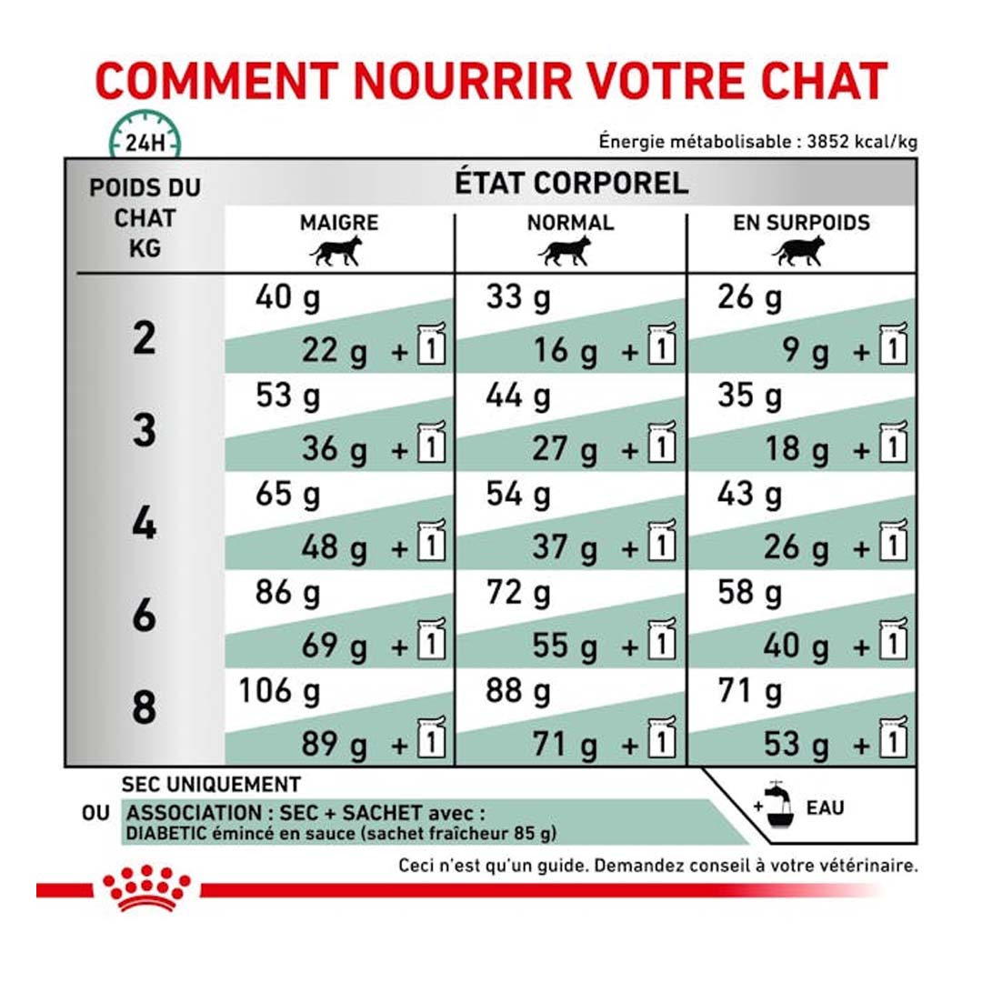 Comment nourrir son chat avec les croquettes Royal Canbin Diabetic