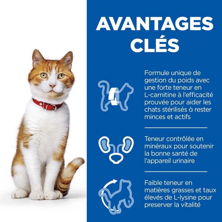 Avantages clés de la pâtées pour chat Hill's
