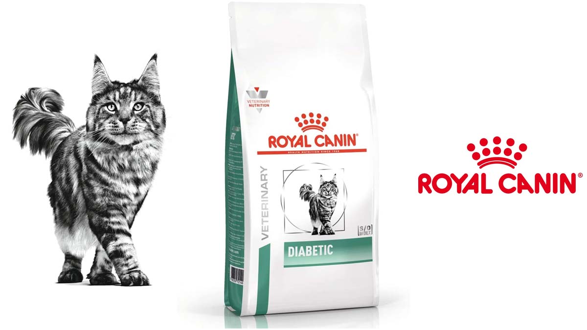 Sac de3,5 kg de croquettes pour chat Royal Canin Diabetic