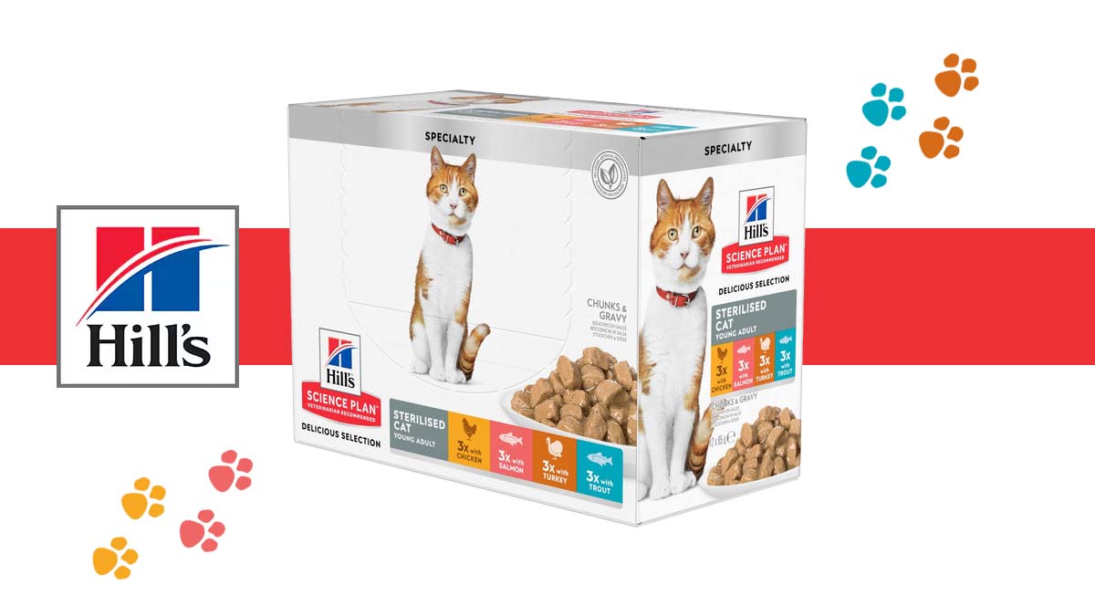 Image de présentation d'une boîte de patées pour chat Hill's