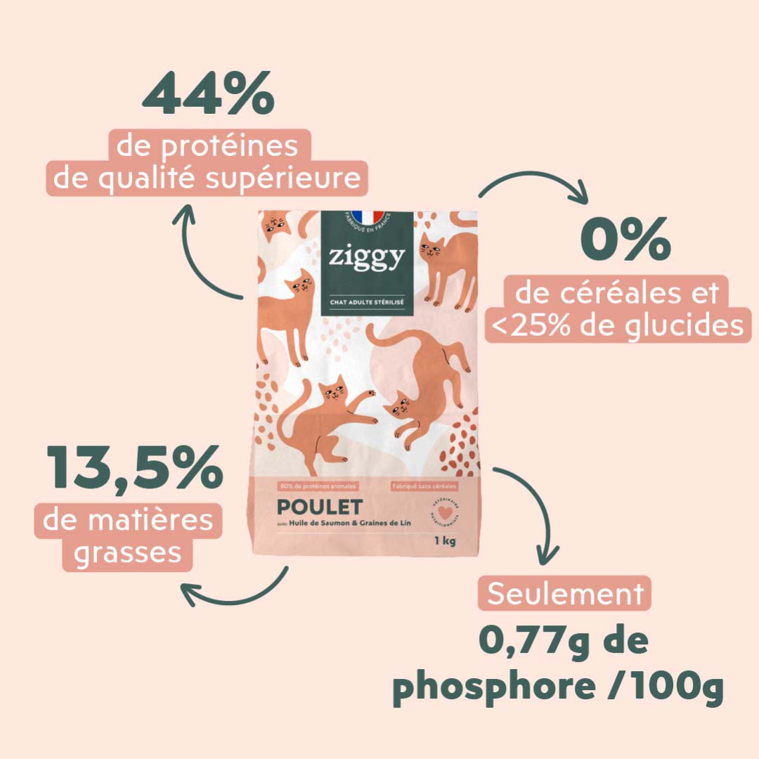 Informations sur les croquettes Ziggy au poulet pour chat adulte stérilisé