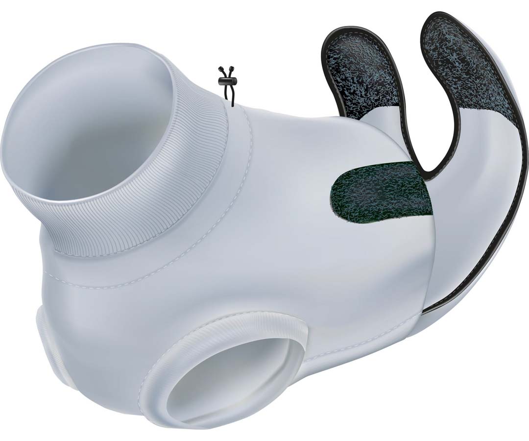 Image de présentation d'un Body de protection pour chats