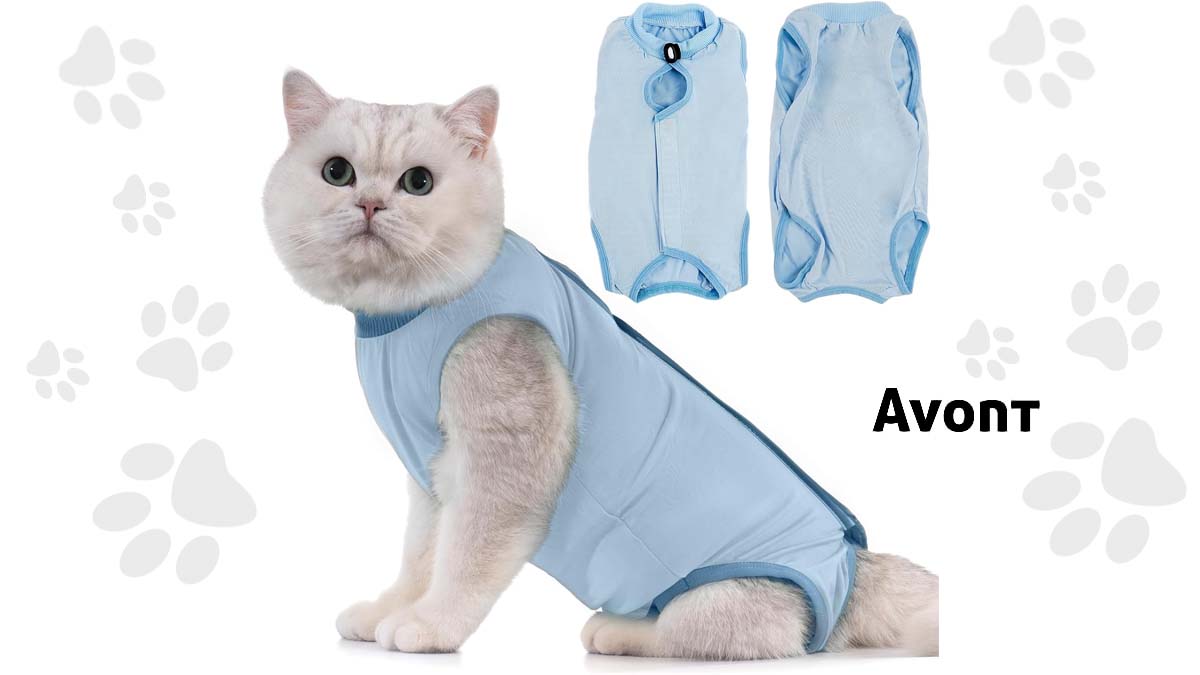 Image de présentation du body post opératoire Avont pour chat