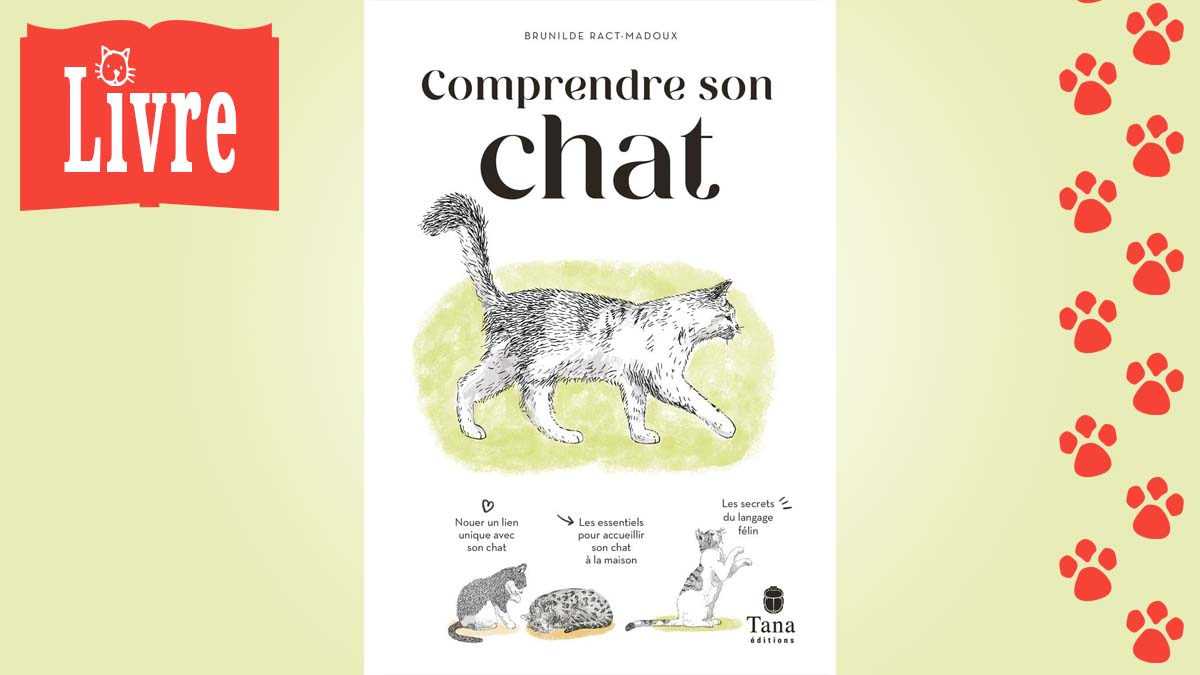 Image de présentation du livre : Communiquer avec son chat