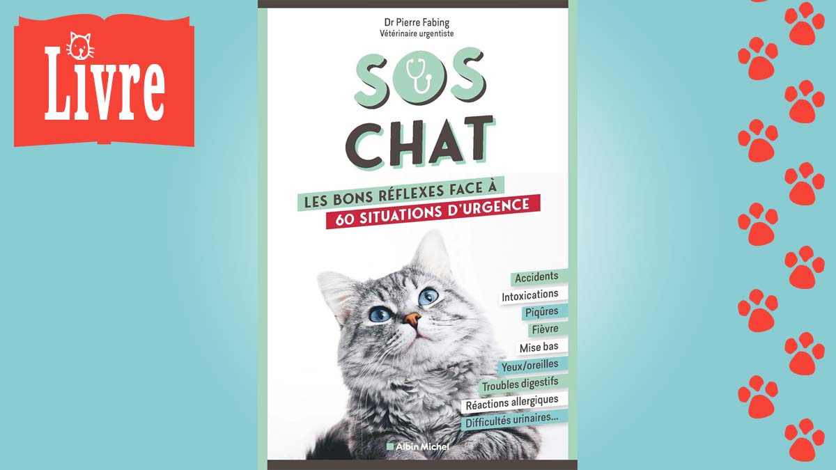 Image de présentation du livre : SOS chat