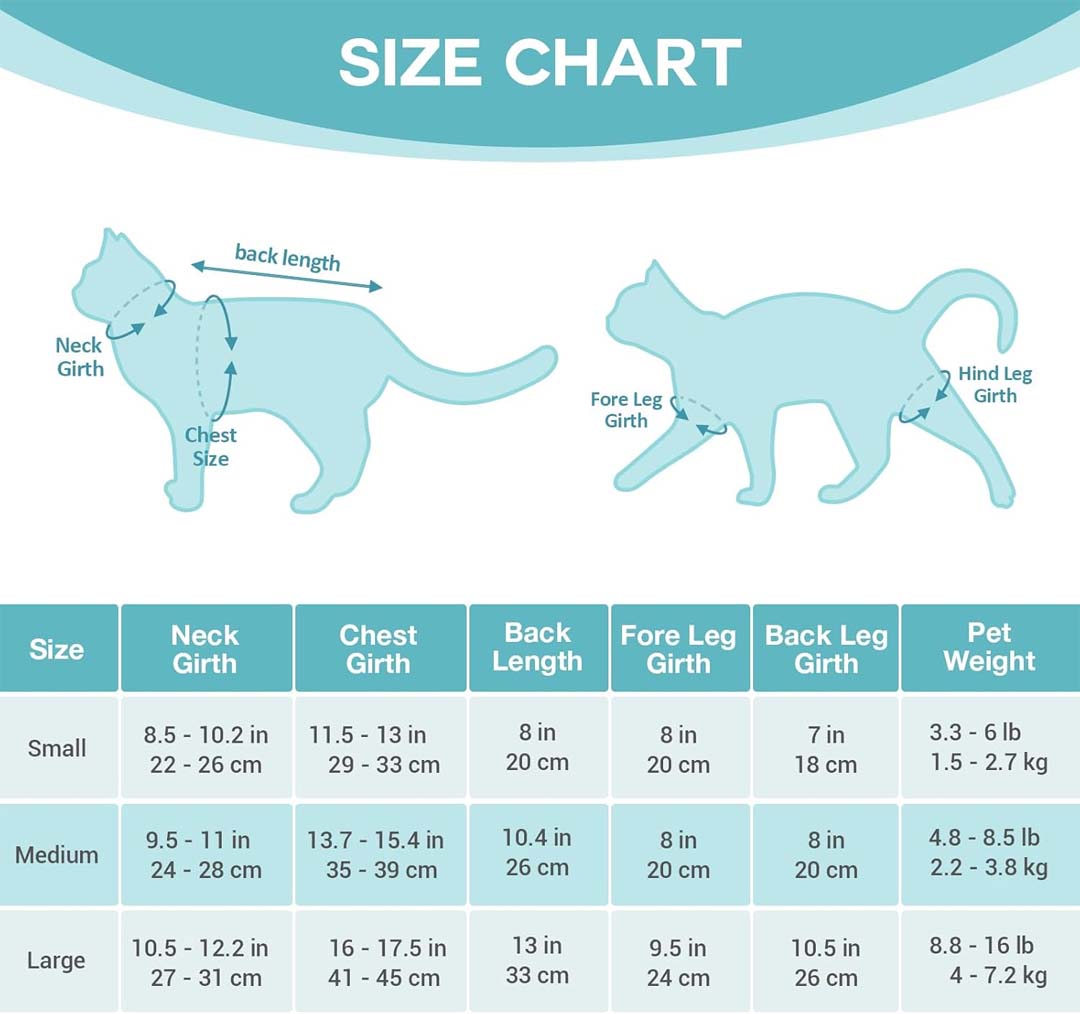 Tableau des tailles du body post opératoire Avont pour chat