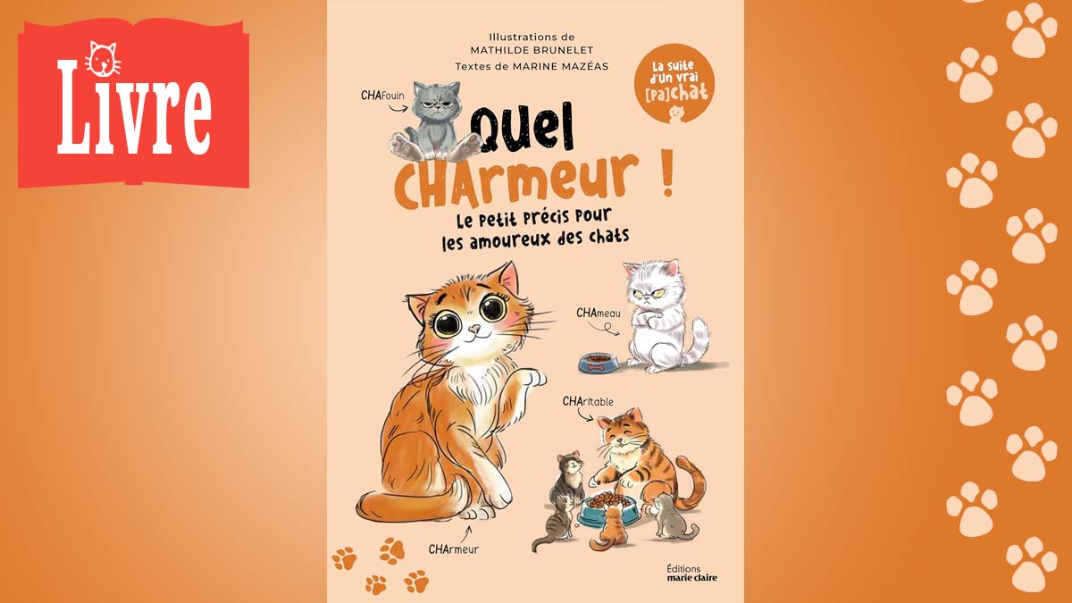 Image de présentation du livre : Quel charmeur !