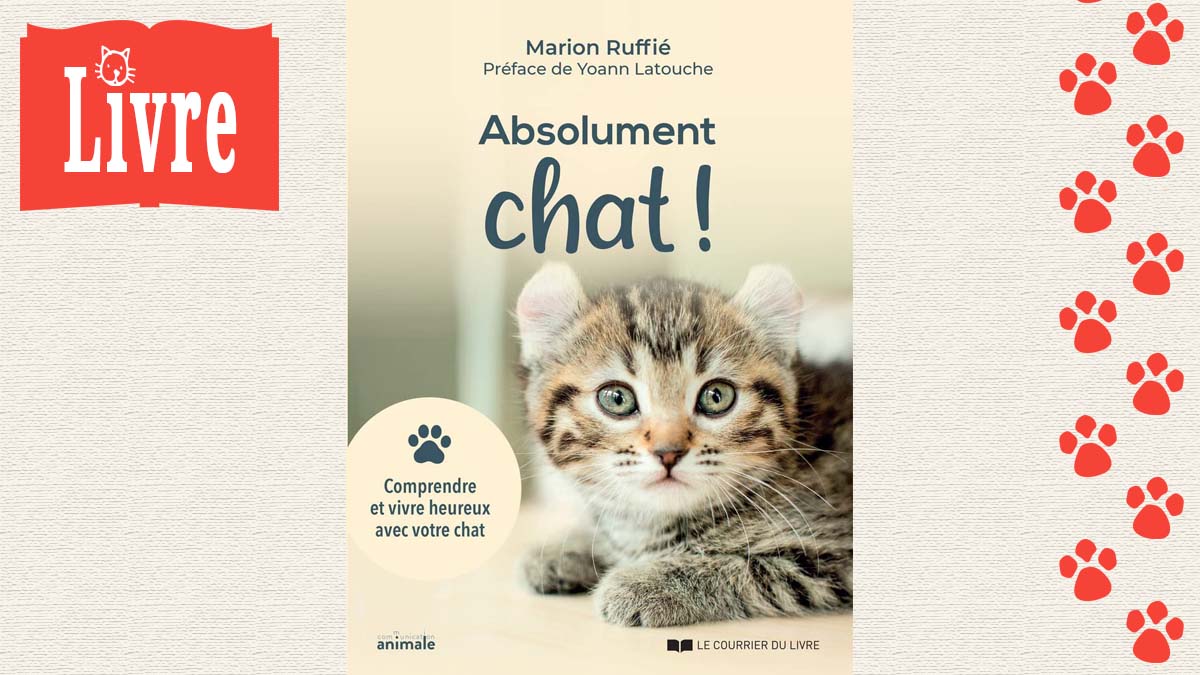 Image de présentation du livre : Absolument chat !