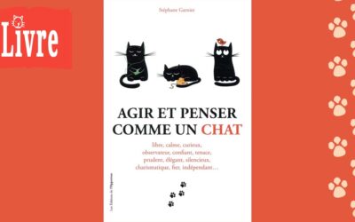 Agir et penser comme un chat