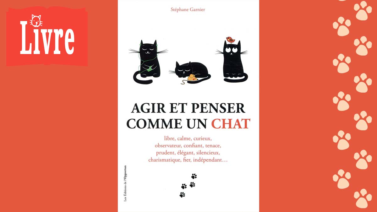 Image de présentation du livre : Agir et penser comme un chat