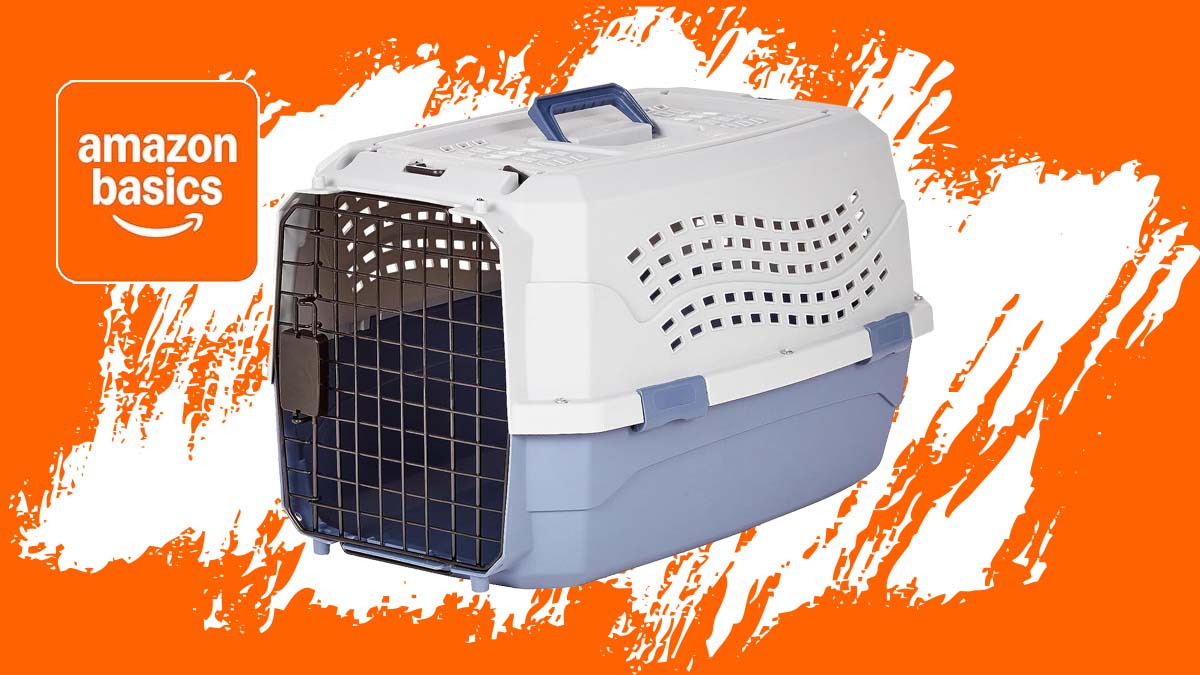 Image de présentation de la cage de transport pour chat Amazon Basics
