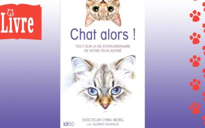 Chat alors !