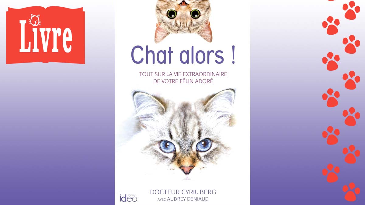 Image de présentation du livre : Chat alors !