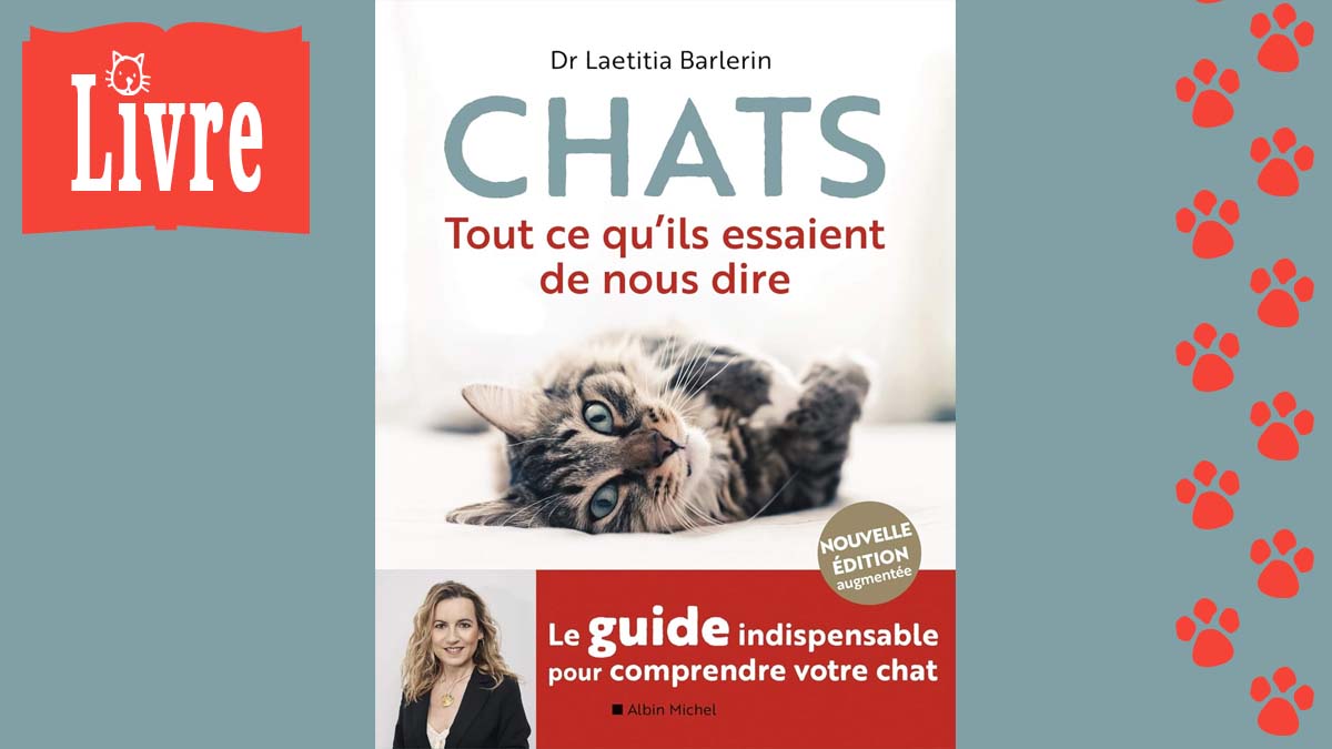 Image de présentation du livre : Chats. Tout ce qu'ils essaient de nous dire