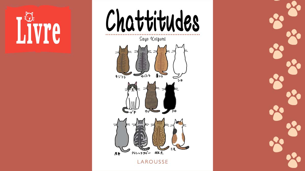 Image de présentation du livre : Chattitudes