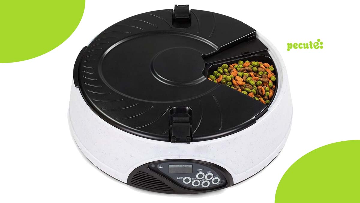 Image de présentation du Distributeur Pecute de croquettes pour chat