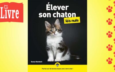 Élever son chaton pour les nuls