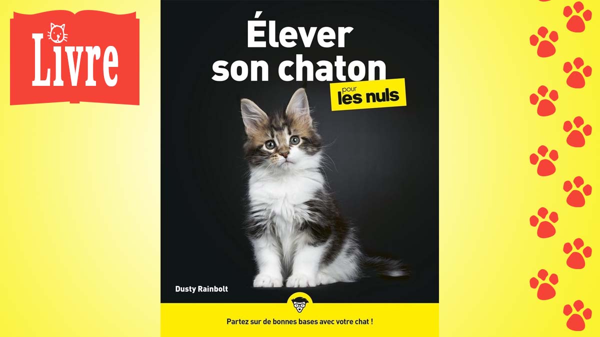 Image de présentation du livre : Élever son chaton pour les nuls