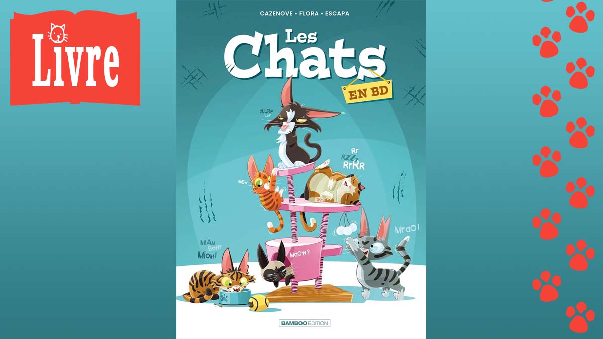 Image de présentation du livre : Les chats en BD - Tome 1