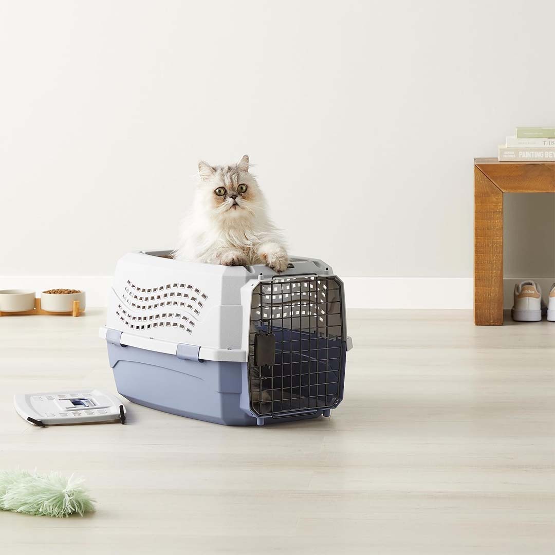 Image de présentation de la cage de transport pour chat Amazon Basics
