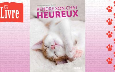 Rendre son chat heureux