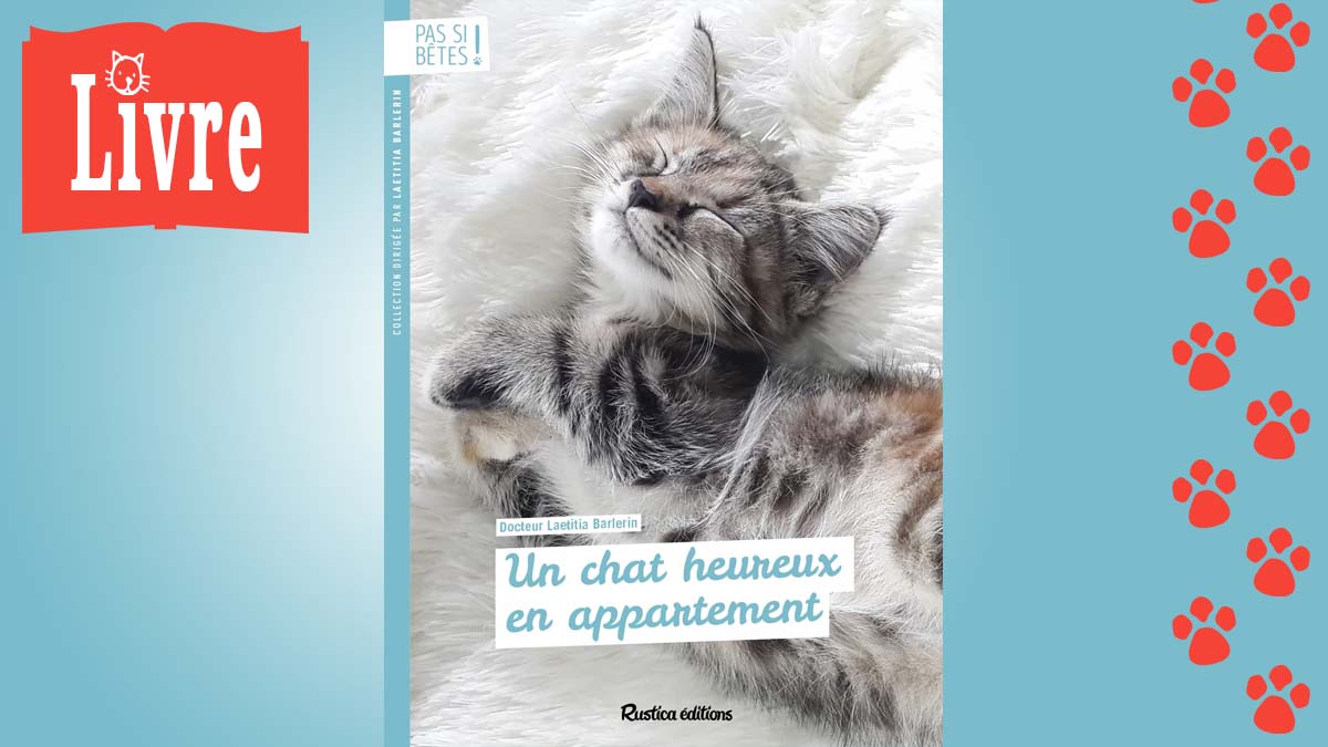 Image de présentation du livre : Un chat heureux en appartement