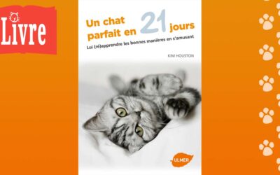 Un chat parfait en 21 jours. Lui (ré)apprendre les bonnes manières en s’amusant