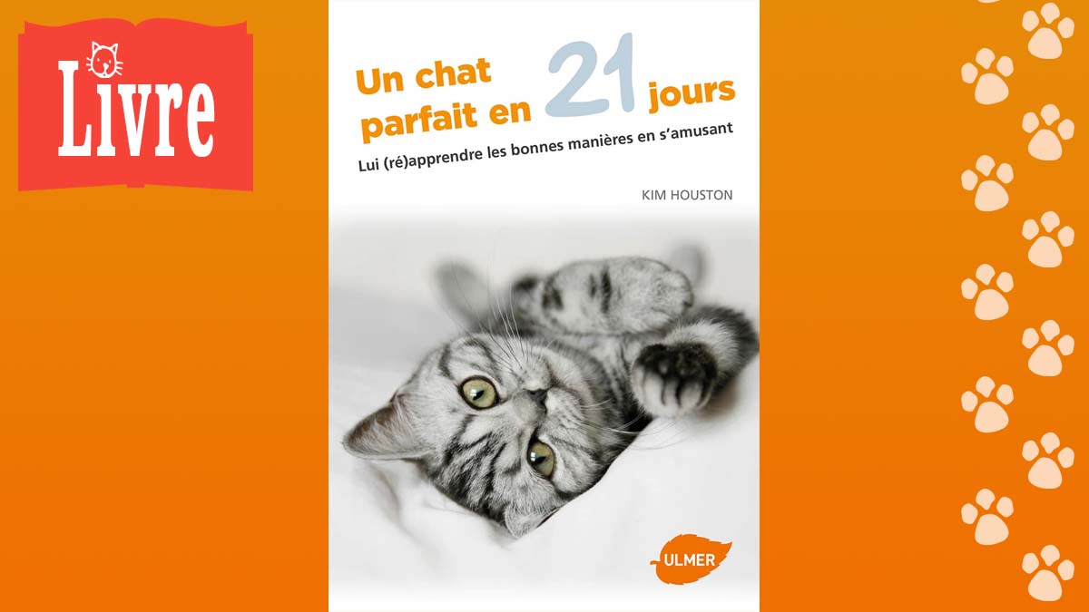 Image de présentation du livre : Un chat parfait en 21 jours
