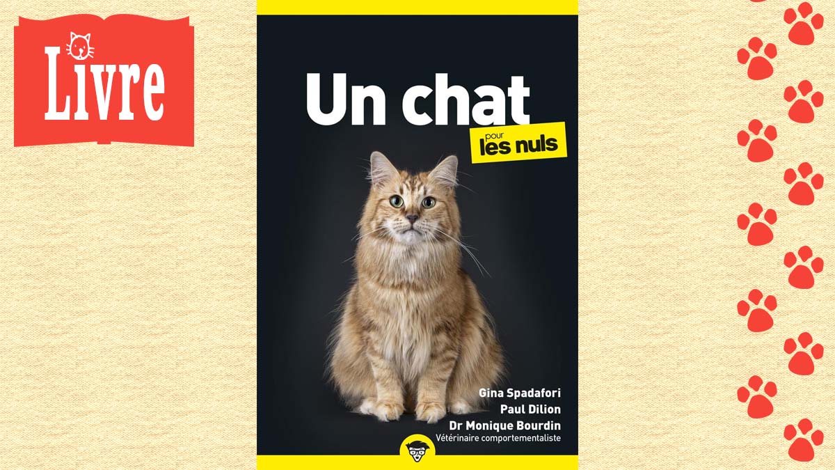 Image de présentation du livre : Un chat pour les nuls