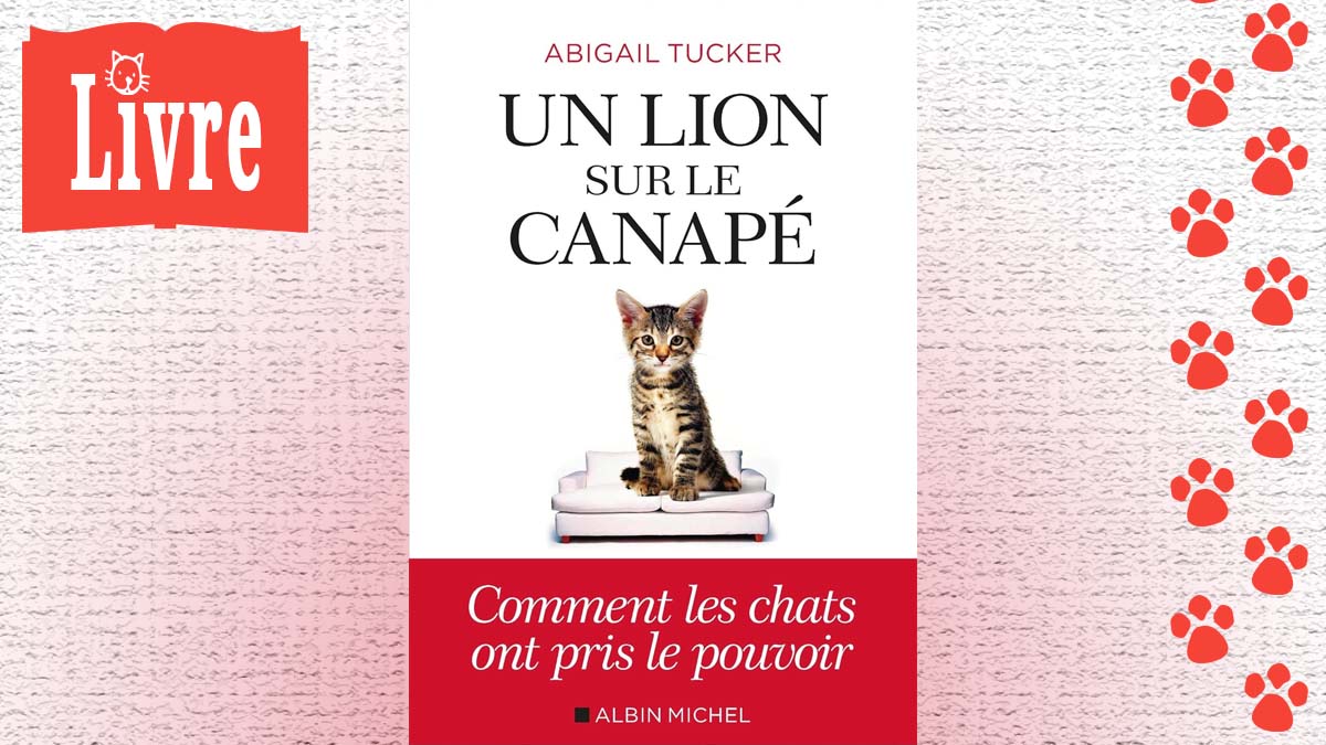 Image de présentation du livre : Un lion sur le canapé