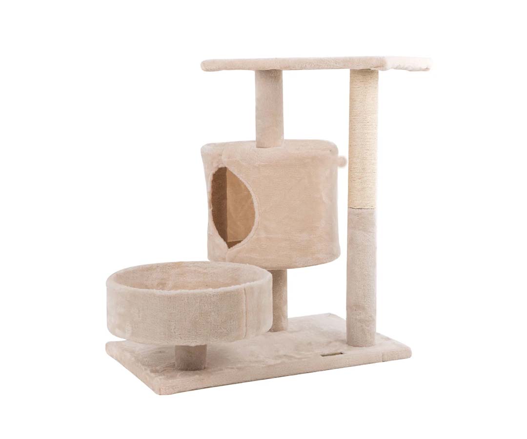 Image de présentation de l'arbre à chat Zolia Koh