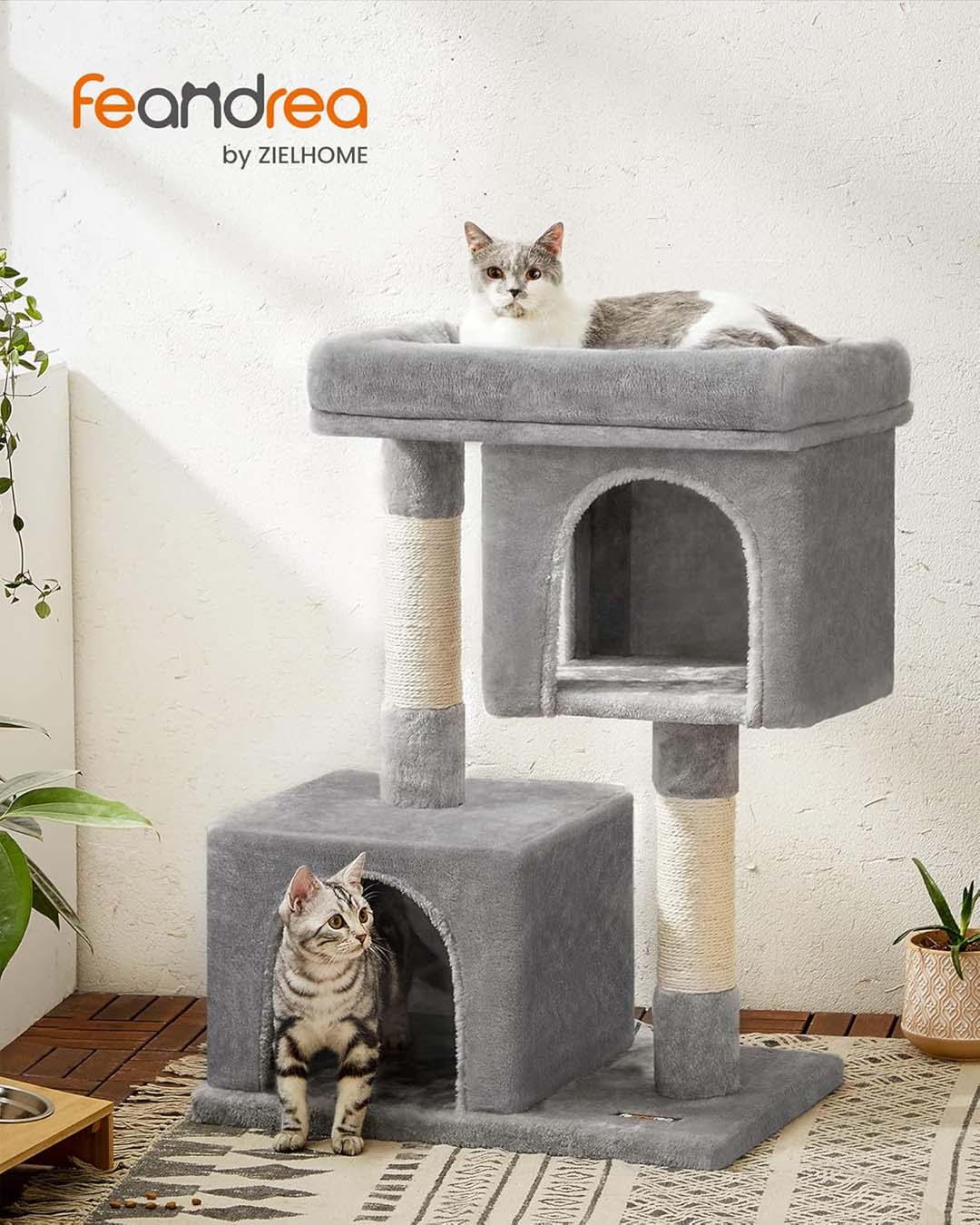 Image de présentation de l'arbre à chat gris clair Feandrea