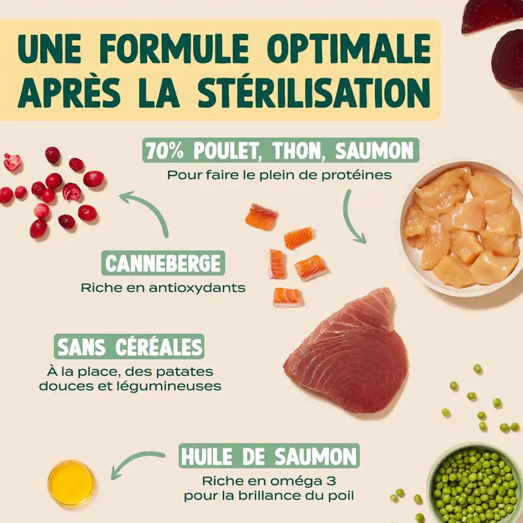 Image de présentation des croquettes Franklin au poulet, au thon et au saumon pour chat stérilisé