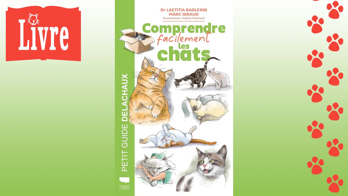 Image de présentation du livre : Comprendre facilement les chats
