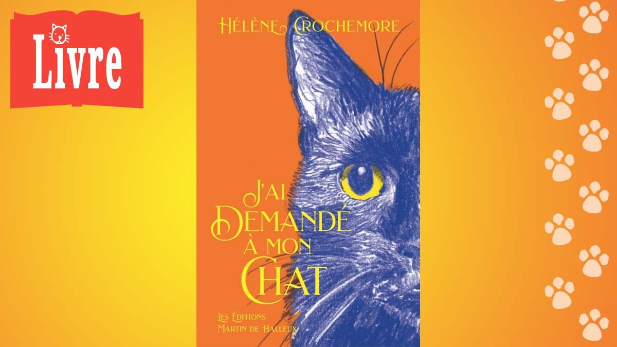 Image de présentation du livre : J'ai demandé à mon chat