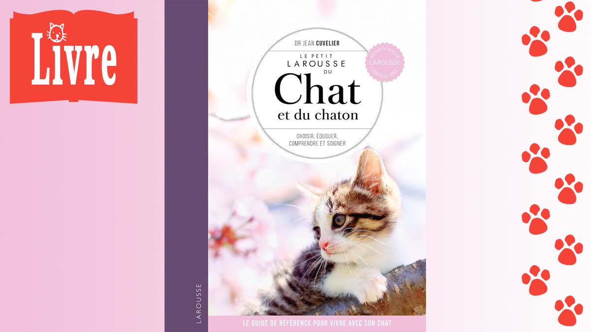 Image de présentation du livre : Le petit Larousse du Chat et du chaton