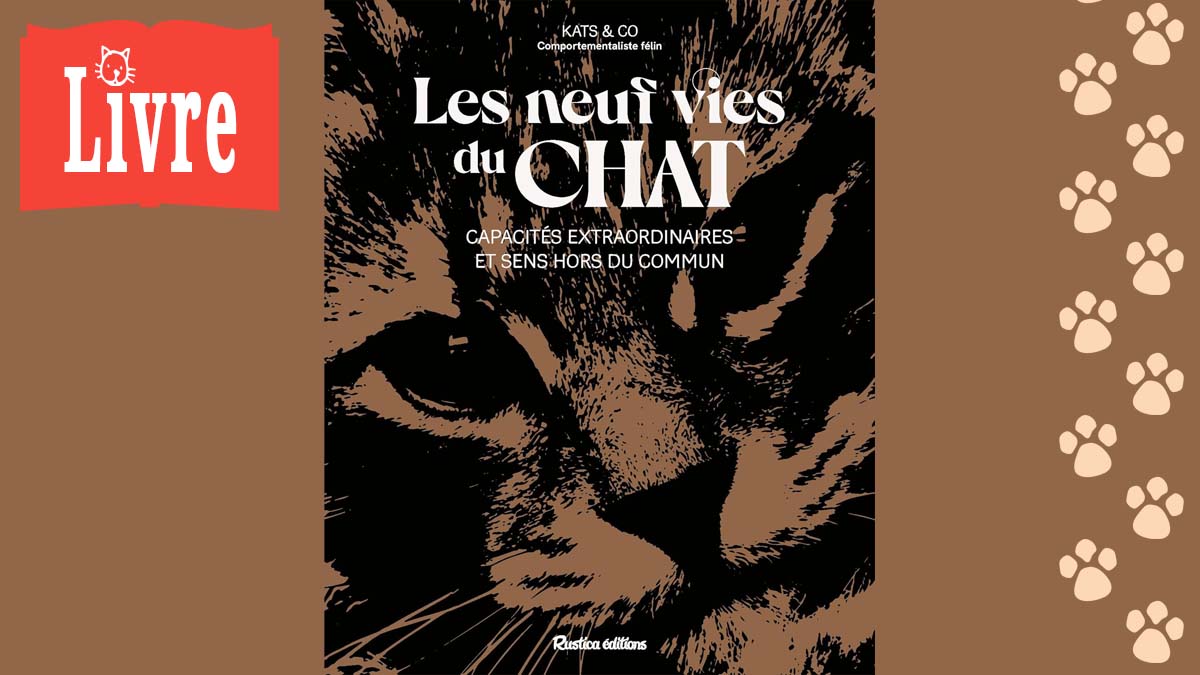 Image de présentation du livre : Les neuf vies du chat