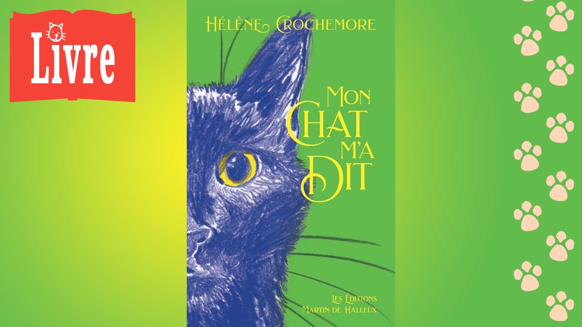 Image de présentation du livre : Mon Chat m'a dit