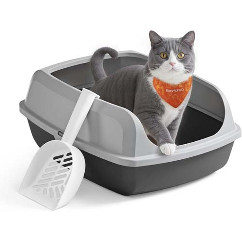 Un chat gris et blanc sort d'un bac à litière Feandrea avec des parois hautes et une pelle à litière est posée sur le bord du bac.